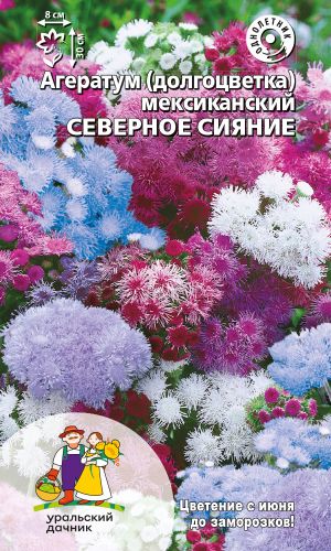 Агератум СЕВЕРНОЕ СИЯНИЕ