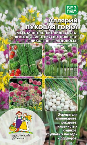 Аллярий ЛУКОВАЯ ГОРКА
