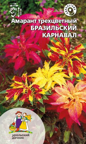 Амарант трёхцветный БРАЗИЛЬСКИЙ КАРНАВАЛ