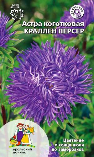 Астра КРАЛЛЕН ПЕРСЕР
