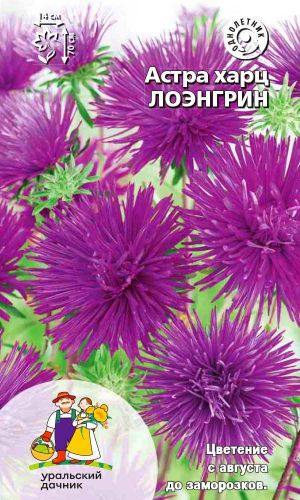 Астра ЛОЭНГРИН