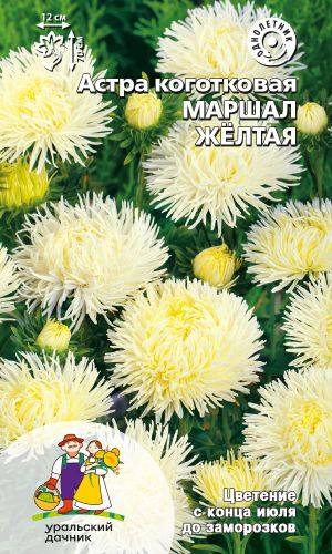 Астра МАРШАЛ ЖЁЛТАЯ