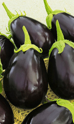 Баклажан ДЕЛИКАТЕС 163