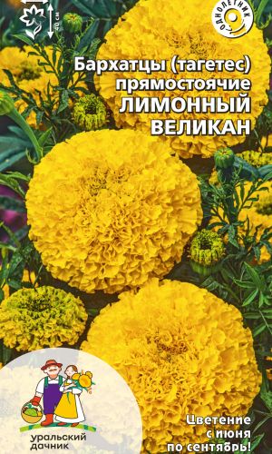 Бархатцы ЛИМОННЫЙ ВЕЛИКАН