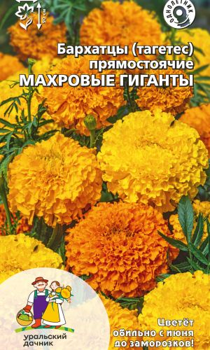 Бархатцы МАХРОВЫЕ ГИГАНТЫ