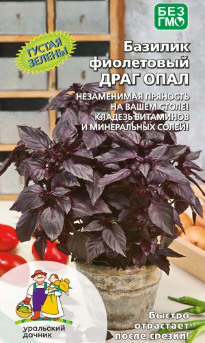 Базилик ДРАГ ОПАЛ