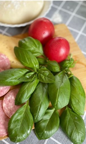 Базилик РУССКИЙ ДЕЛИКАТЕС