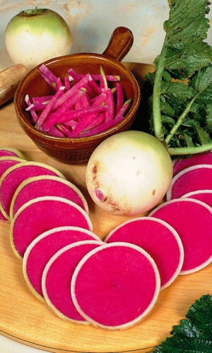 Дайкон ЧЕЛЯБИНСКИЙ МЕТЕОРИТ