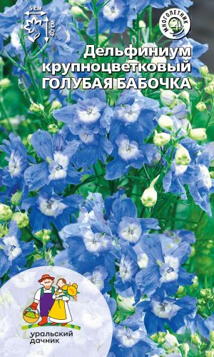 Дельфиниум крупноцветковый ГОЛУБАЯ БАБОЧКА