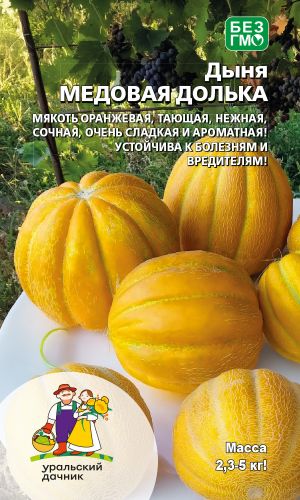 Дыня МЕДОВАЯ ДОЛЬКА