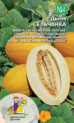 Дыня СЕЛЬЧАНКА
