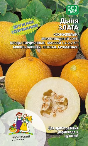 Дыня ЗЛАТА
