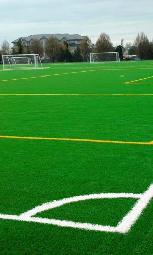 Газон СПОРТИВНЫЙ ИЗНОСОСТОЙКИЙ 20 г