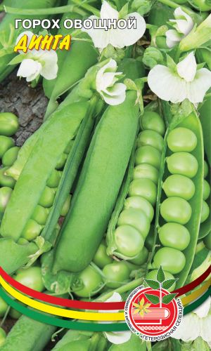 Горох ДИНГА