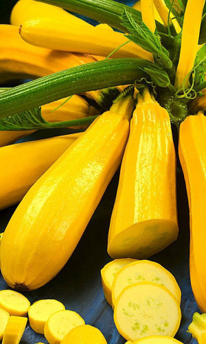 Кабачок АНАНАСНЫЙ