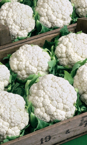 Капуста цветная ГАРАНТИЯ