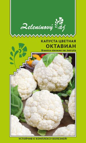Капуста цветная ОКТАВИАН