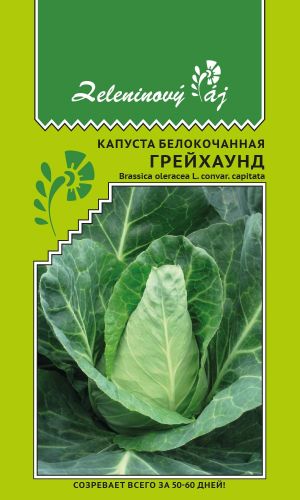 Капуста ГРЕЙХАУНД