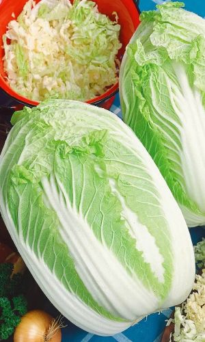 Капуста пекинская ЛЮБАША