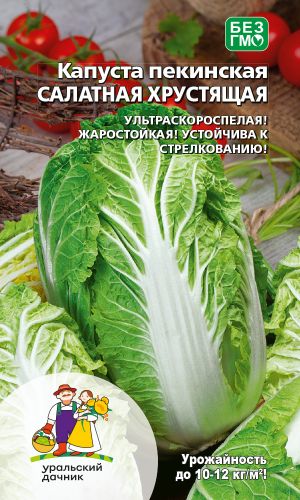 Капуста пекинская САЛАТНАЯ ХРУСТЯЩАЯ