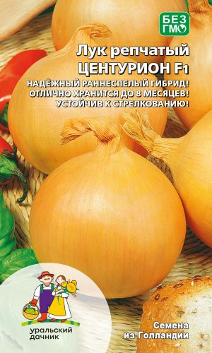 Лук репчатый ЦЕНТУРИОН F1 &mdash; Отлично хранится до 8 месяцев! Не стрелкуется! Необычайно популярен!