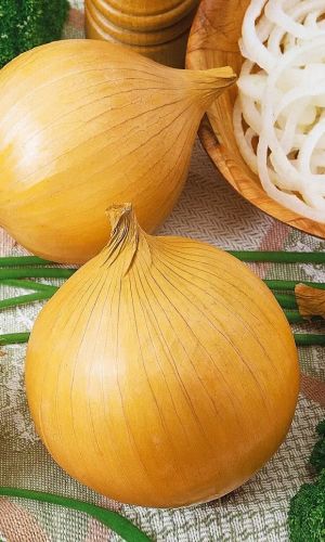 Лук репчатый ЛУГАНСКИЙ &mdash; Крупная луковица за 1 год! Высокое содержание сахаров и аскорбиновой кислоты! Замечательно хранится!