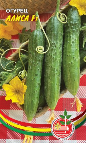 Огурец АЛИСА F1