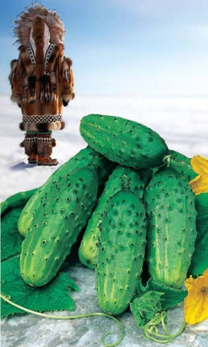 Огурец ЭСКИМОС F1