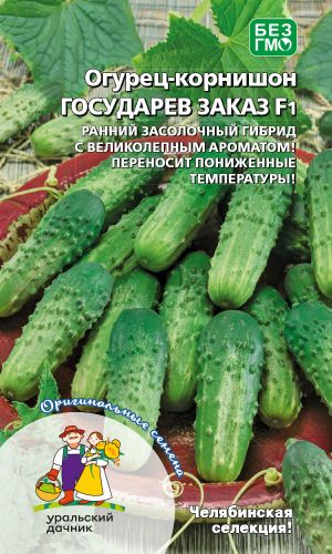 Огурец ГОСУДАРЕВ ЗАКАЗ F1 &mdash; Ранний засолочный гибрид с великолепным ароматом! Переносит пониженные температуры!