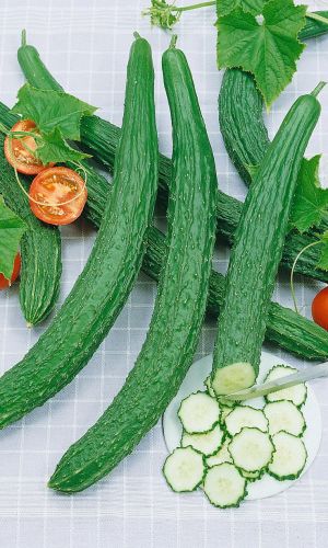 Огурец КИТАЙСКОЕ ЧУДО F1