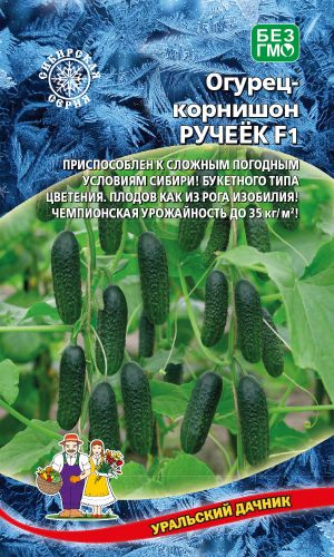 Огурец РУЧЕЁК F1 &mdash; Приспособлен к сложным погодным условиям Сибири! Букетного типа цветения, плодов как из рога изобилия! Чемпионская урожайность до 35 кг/м2!