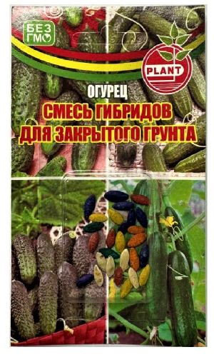 Огурец СМЕСЬ ГИБРИДОВ ДЛЯ ЗАКРЫТОГО ГРУНТА ПЛАНТ