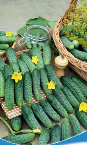 Огурец ТЁЩИН СЕКРЕТ F1