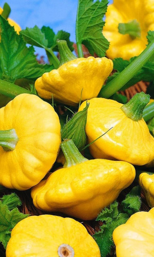 Патиссон ДЖЕНТЛЬМЕНЫ УДАЧИ