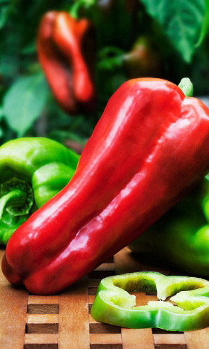 Перец ХАЙВЕЙ F1