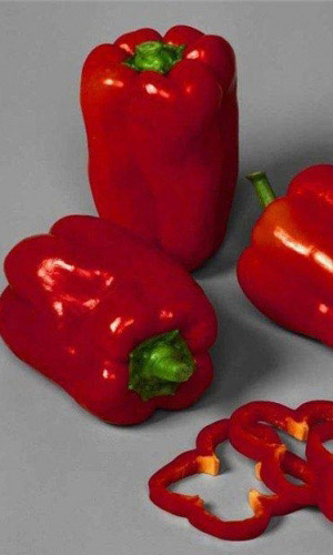 Перец МОРОЗКО