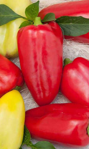 Перец МРАМОРНЫЙ &mdash; Необычайно красив!