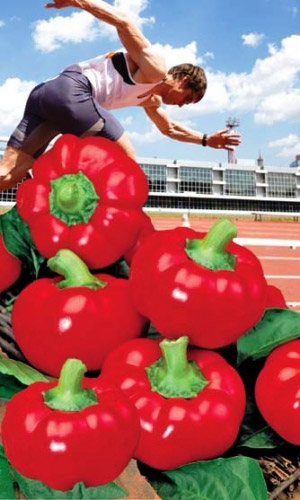 Перец СПРИНТЕР