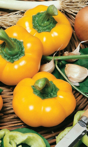 Перец ЗОЛОТОЙ ЮБИЛЕЙ