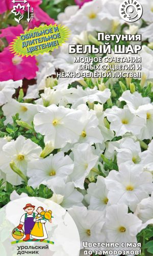 Петуния БЕЛЫЙ ШАР — Обильное и длительное цветение! Модное сочетание белых соцветий и нежно-зелёной листвы!