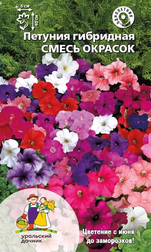 Петуния ГИБРИДНАЯ СМЕСЬ