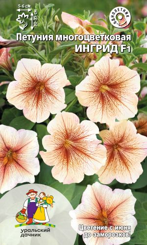 Петуния ИНГРИД F1 — Многоцветковая!