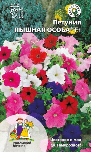 Петуния ПЫШНАЯ ОСОБА F1