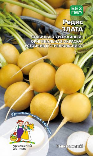 Редис ЗЛАТА &mdash; Стабильная урожайность! Оригинальная окраска! Устойчив к стрелкованию!