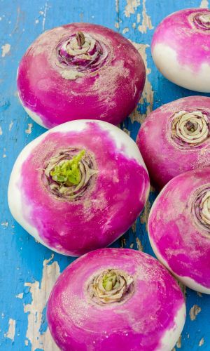 Репа ПУРПУРНАЯ С БЕЛЫМ КОНЧИКОМ