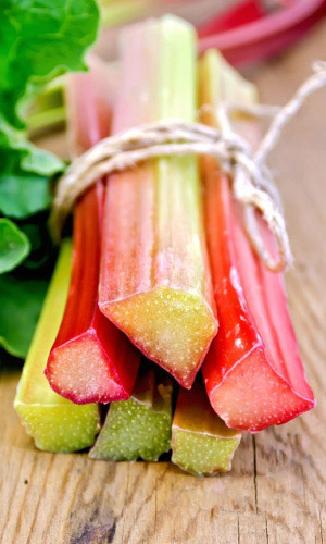 Ревень ВИКТОРИЯ