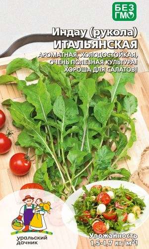 Салат РУККОЛА (ИНДАУ РАКЕТ) ИТАЛЬЯНСКАЯ &mdash; Ароматная, холодостойкая, очень полезная культура! Хороша для салатов!