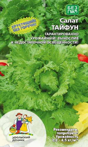 Салат ТАЙФУН