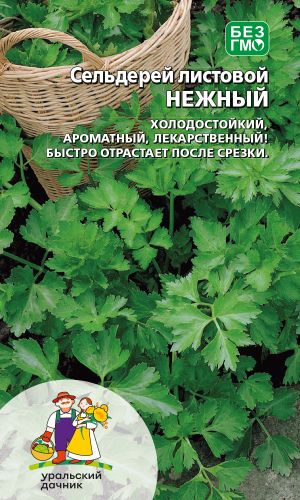 Сельдерей листовой НЕЖНЫЙ