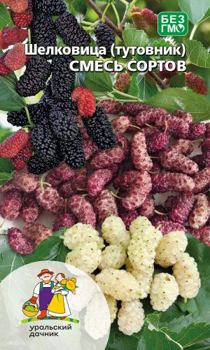 Шелковица (тутовник) СМЕСЬ СОРТОВ